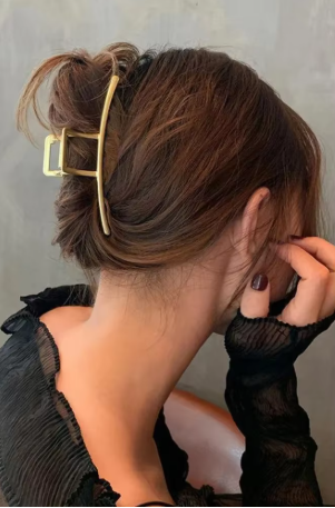 Accessoires cheveux