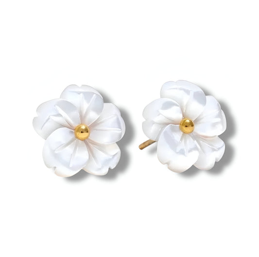 Boucles "Aima"