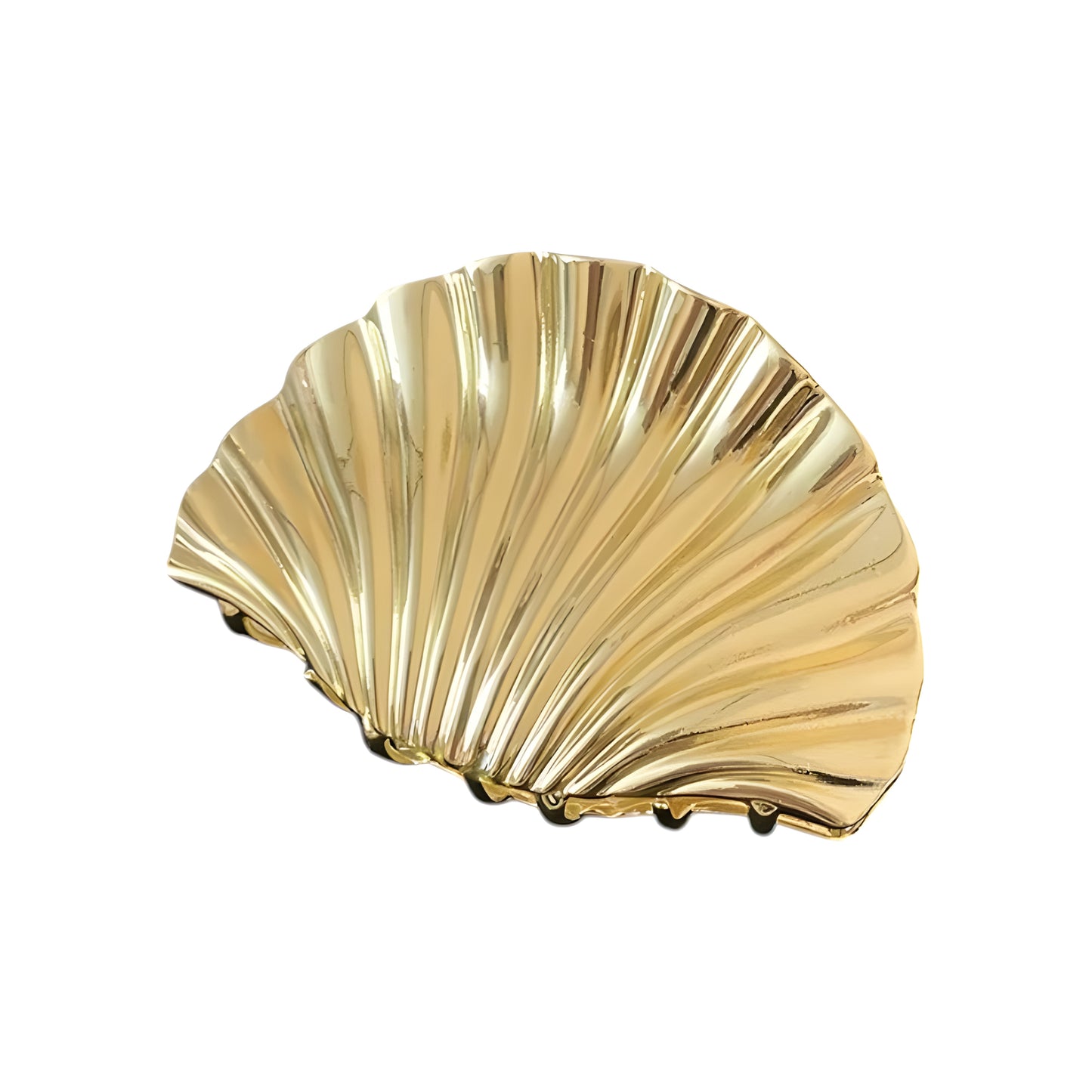 Pince "Coquillage"